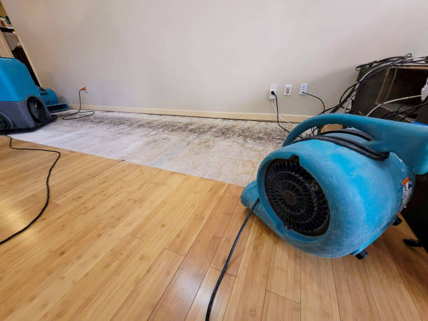 Professional Structural Drying technician working in Sheridan, IL